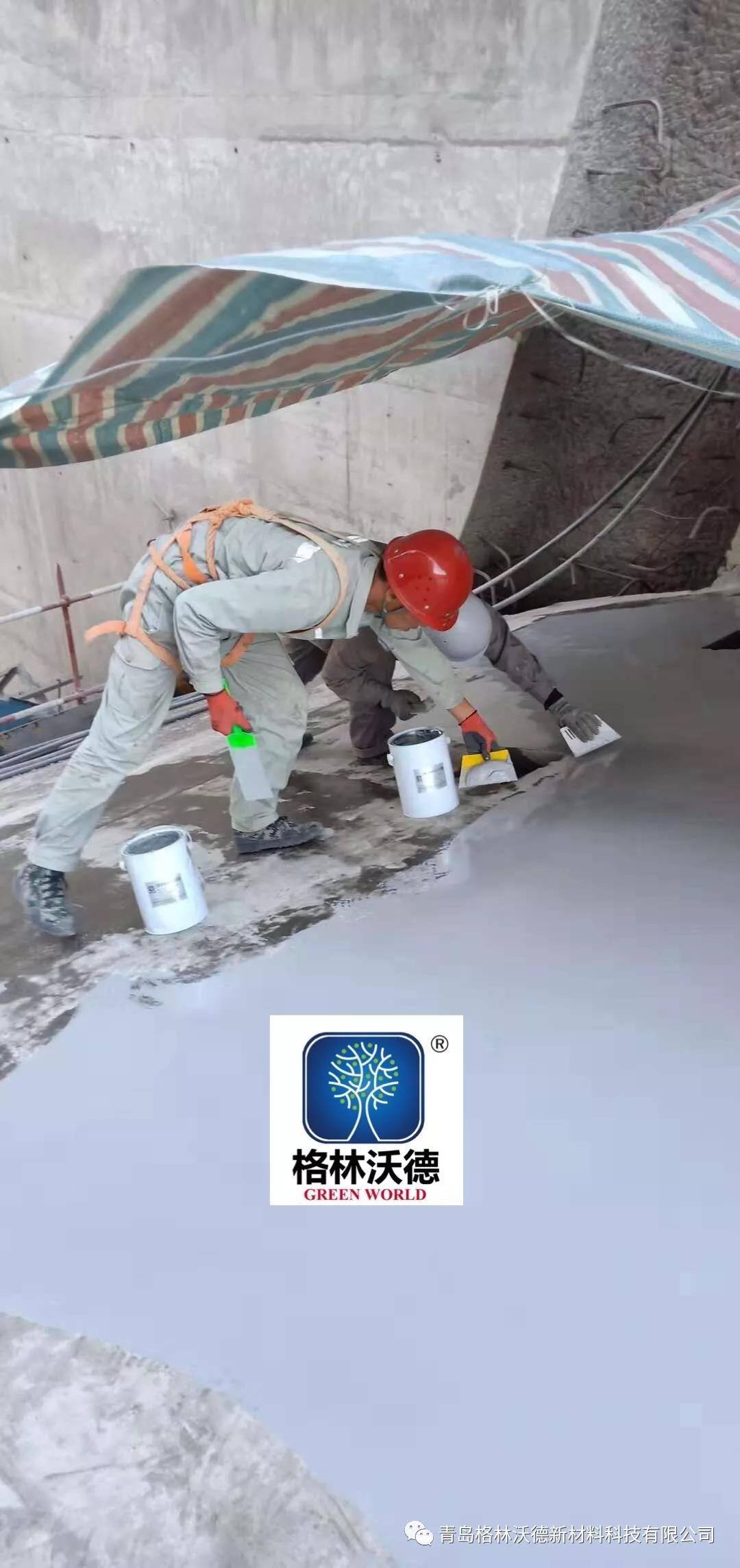 單組份手刮涂層成功用于國(guó)家大型重點(diǎn)水利工程--“吉林豐滿大壩” 單組份手刮涂層成功用于國(guó)家大型重點(diǎn)水利工程--“吉林豐滿大壩”